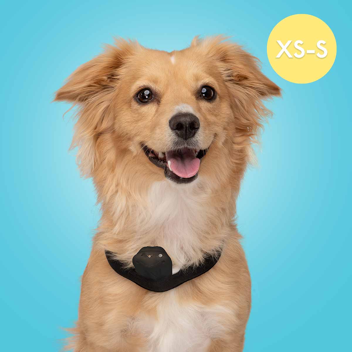 SPRAY BARK COLLAR XS-S