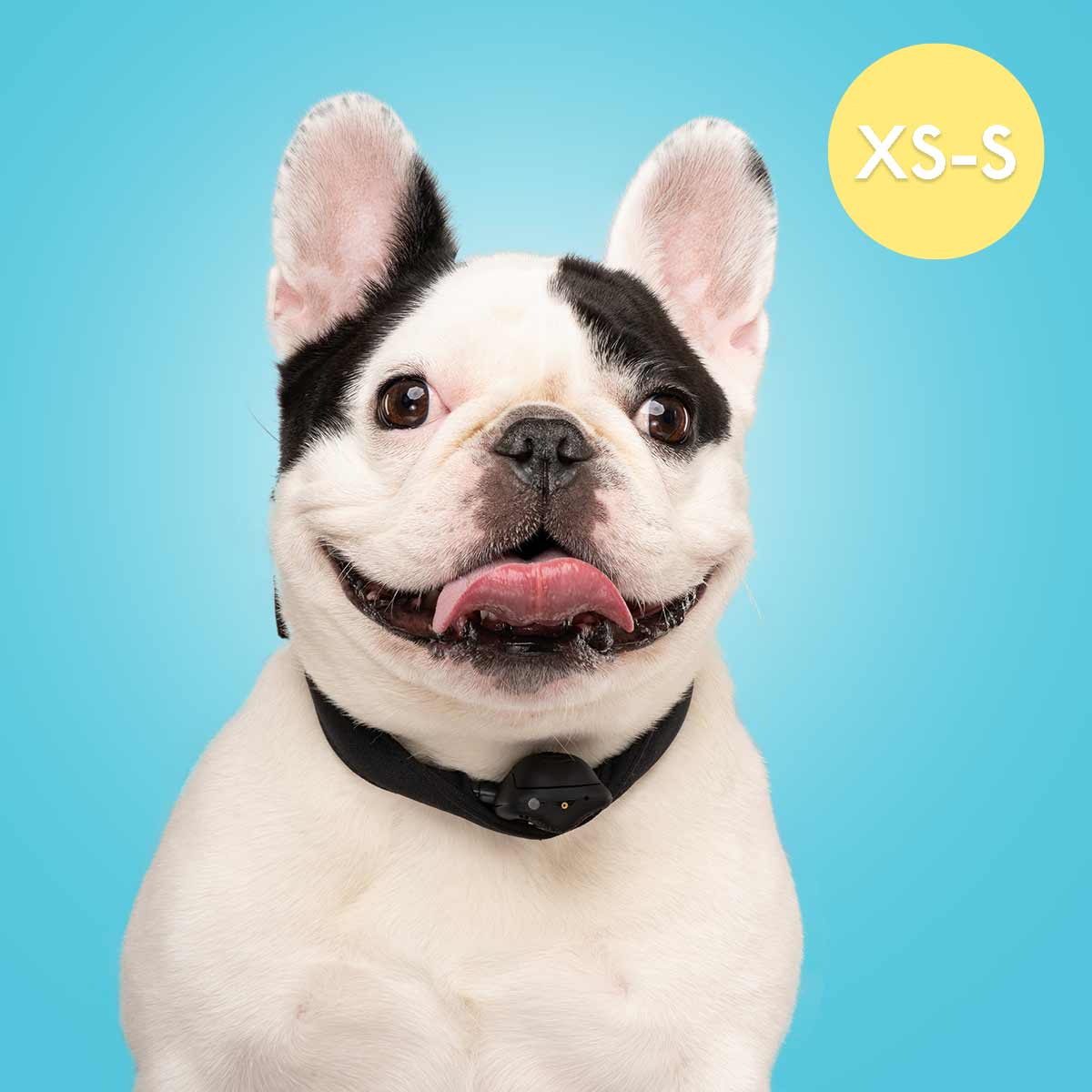 SPRAY BARK COLLAR XS-S