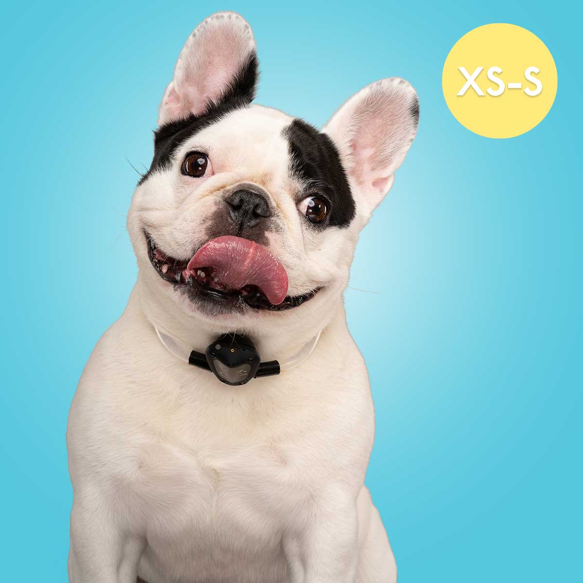SPRAY BARK COLLAR XS-S