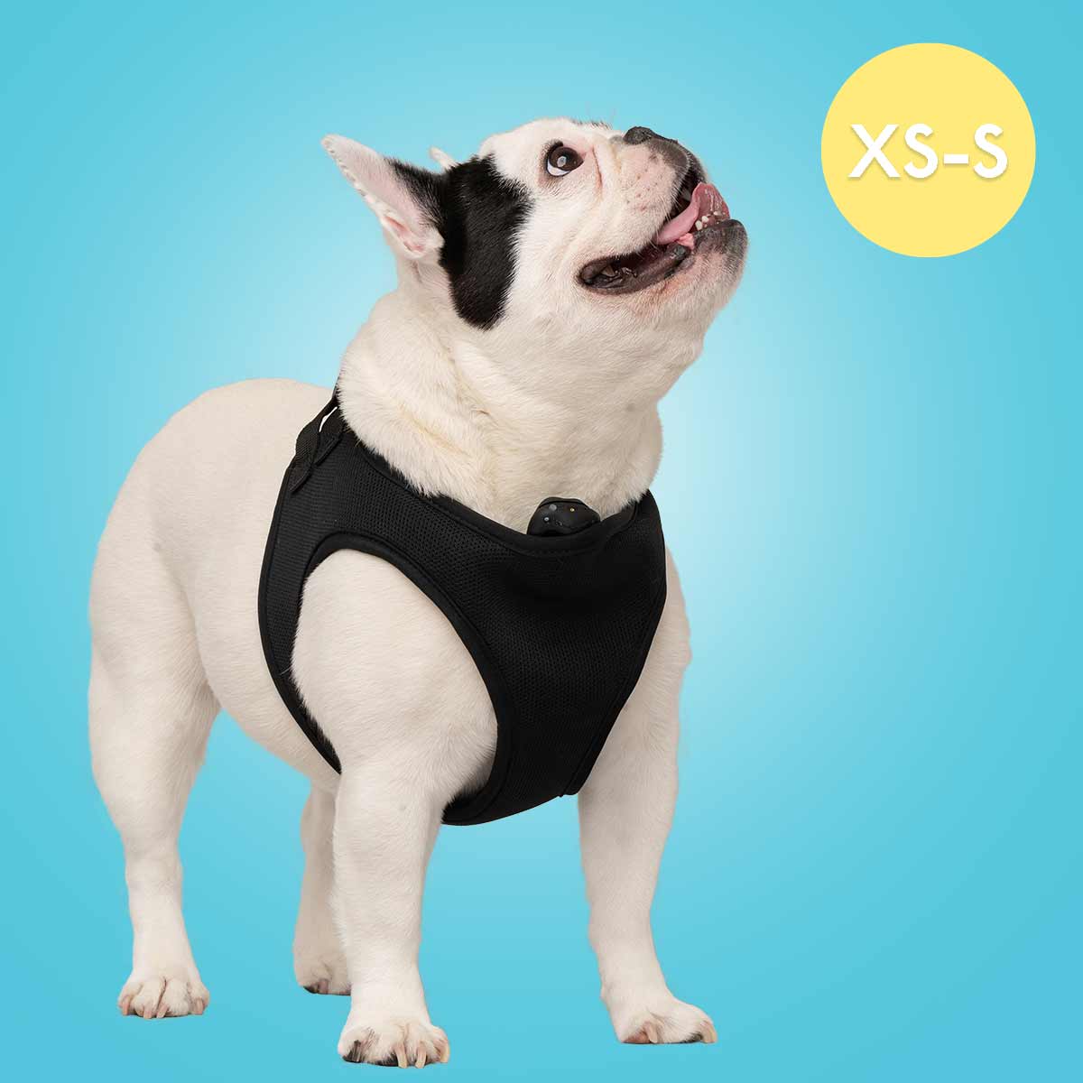 SPRAY BARK COLLAR XS-S