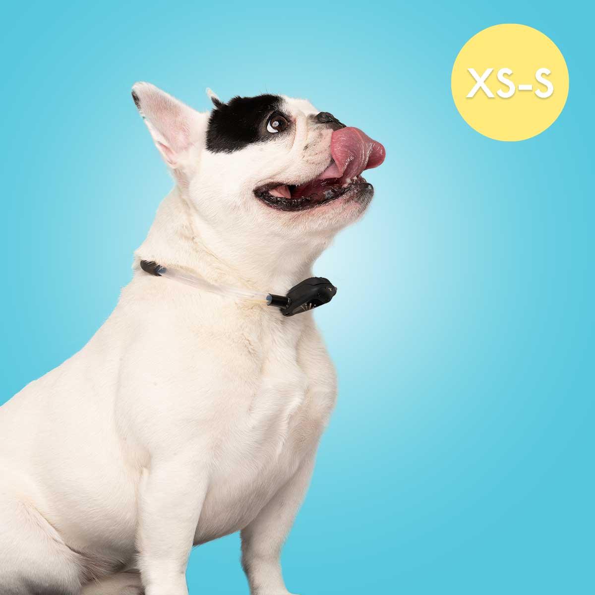 SPRAY BARK COLLAR XS-S